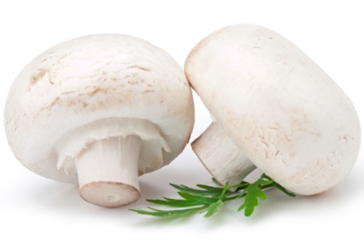 mushroom_cheatsheet720