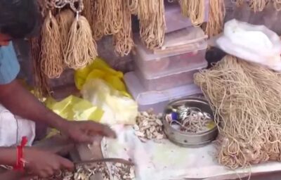 चमत्कारी है तुलसी की माला चमत्कारी है तुलसी की माला