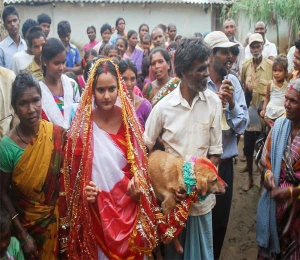 यहाँ करती है लडकियाँ कुत्तो से शादी और कुत्ता बनता है दूल्हा - Hindi ...