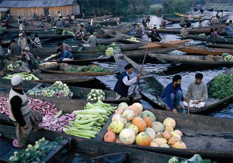 india_dal-lake-market