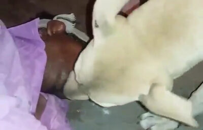 एक शख्स की इस अदा पर हुई कुतियाँ फ़िदा, और सरेआम चूमने लगी एक शख्स की इस अदा पर हुई कुतियाँ फ़िदा, और सरेआम चूमने लगी