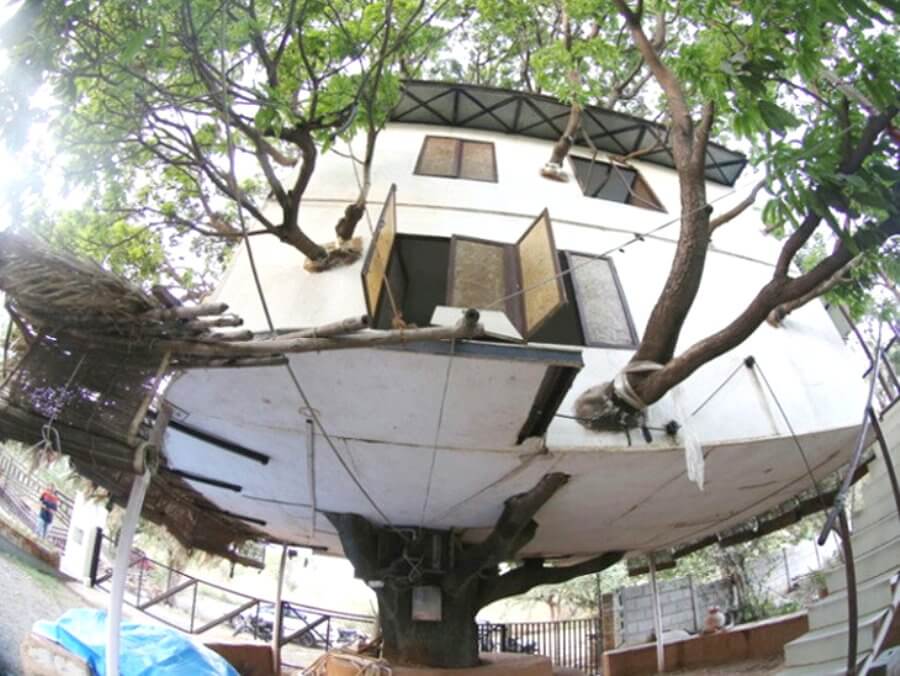 Tree House
