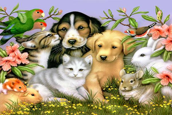 animal poster