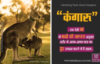 एक ऐसी मां जो बच्चों की जरूरत अनुसार शरीर में अलग-अलग तरह का दूध उत्पन्न करती है एक ऐसी मां जो बच्चों की जरूरत अनुसार शरीर में अलग-अलग तरह का दूध उत्पन्न करती है
