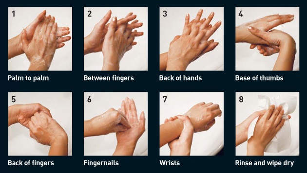 how to wash hand 7 steps coronavirus